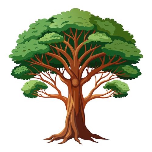 Best Tree PNG Free Download